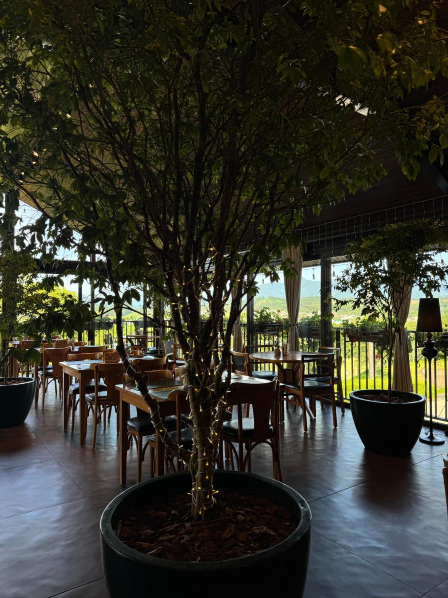 Bormon Hotel Нова Венеза Екстериор снимка
